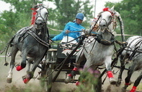 Image-preview