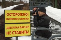 Image-preview