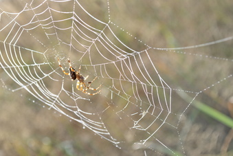 NIKON D3000, ISO 100, F8, 1/80 s, 4.0 ��