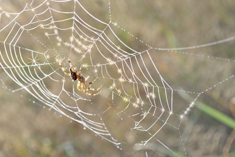 NIKON D3000, ISO 100, F8, 1/80 s, 4.0 ��