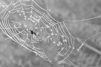 NIKON D3000, ISO 100, F8, 1/80 s, 3.0 ��