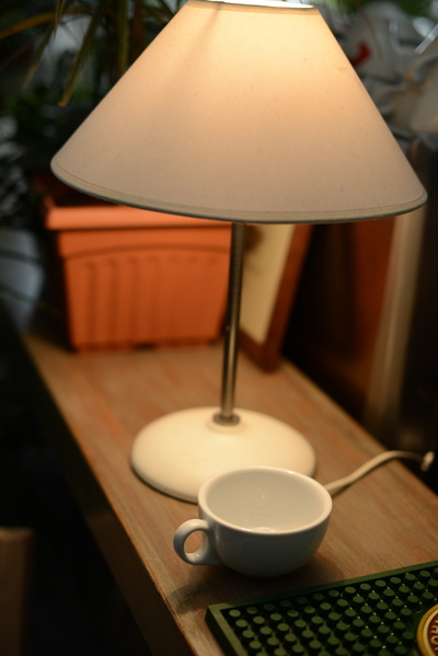 NIKON D600, ISO 800, F2.5, 1/400 s, 10.0 МБ