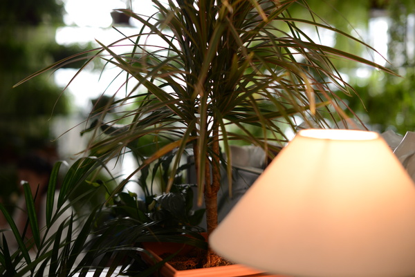 NIKON D600, ISO 800, F2.5, 1/320 s, 11.0 МБ