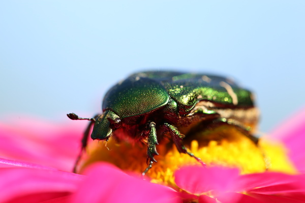 Canon EOS 6D, ISO 640, F5.6, 1/400 s, 4.0 МБ