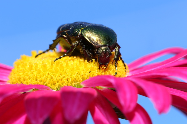 Canon EOS 6D, ISO 400, F14, 1/80 s, 5.0 МБ