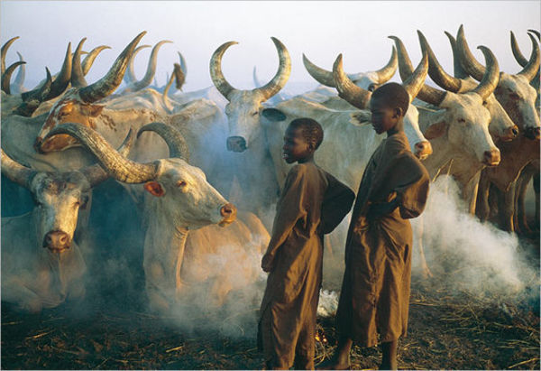 Фотографии Африки от Паскаля Мэтра