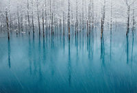 The Most Beautiful Pond in The World  Kent Shiraishi