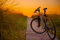 Cycle in the orange...  AdithetoS μελουργός