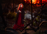 The Fire Starter  Lisa Holloway