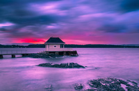 The sea gull  Jørn Allan Pedersen