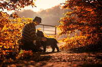 Walking the dog  Martin Castein