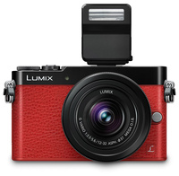 Panasonic GM-5 -     