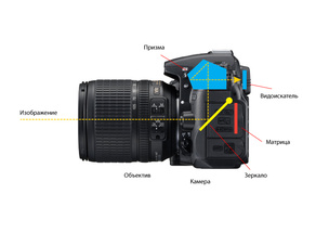 Как устроен фотоаппарат и какие бывают фотоаппараты