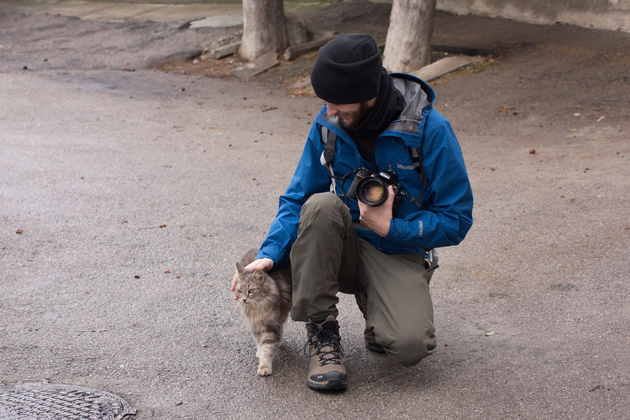 Почему стоит сфотографировать бездомного котика?