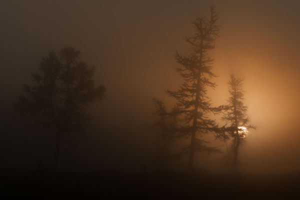 В тумане © Камиль Нуреев