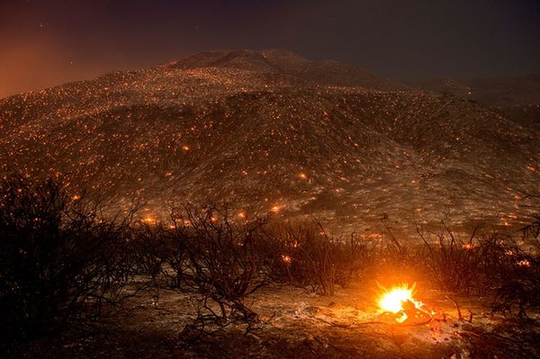 Фото дня: тлеющие угли после лесного пожара
