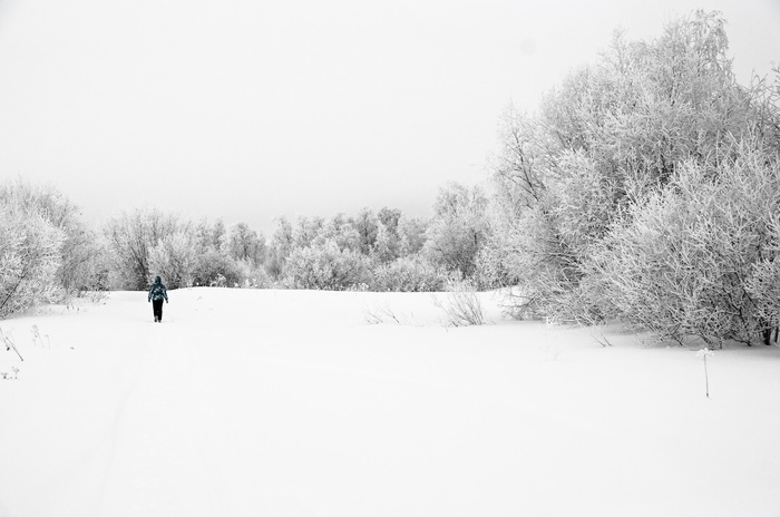 Андрей Прохоров, «Черно-белая зима»