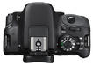 Зеркальная камера Canon EOS 100D