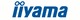 Iiyama