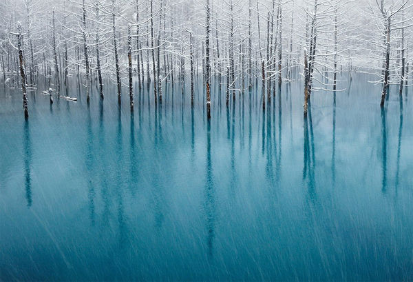 The Most Beautiful Pond in The World © Kent Shiraishi