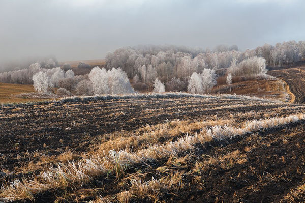 Лес в кружевах из осенних туманов © Михаил Вершинин
