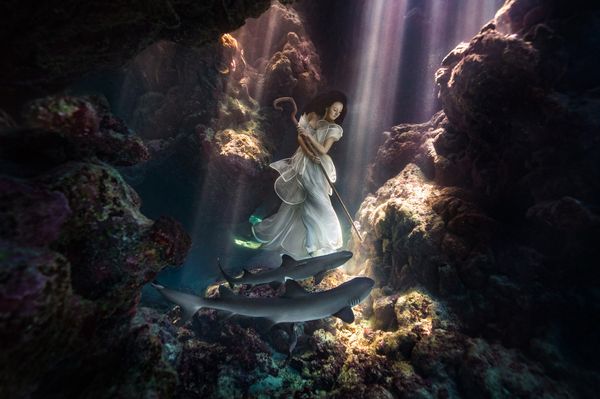 Невероятные подводные фото Бенджамина Фон Вонга