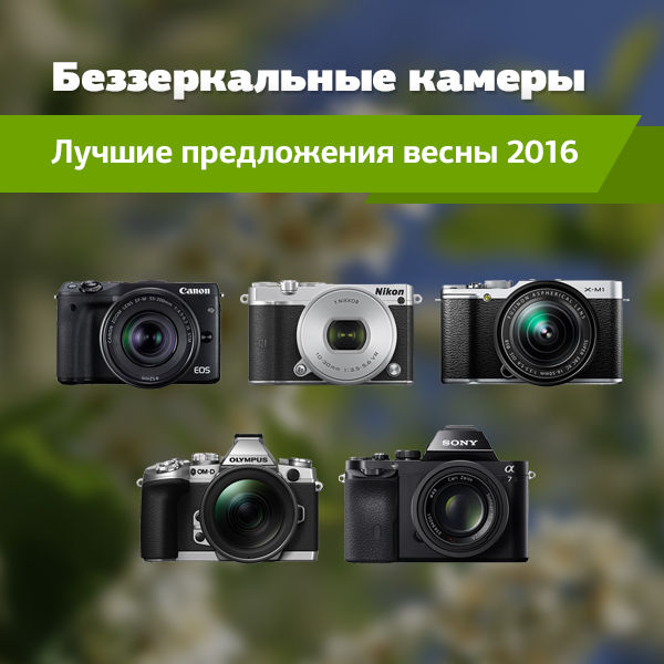 13 Лучших фотоаппаратов до 50 000 рублей – рейтинг 2023
