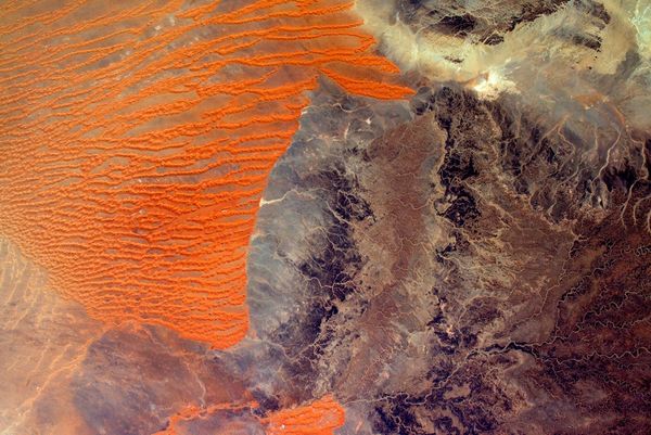  Космонавт Тим Пик: лучшие снимки с МКС