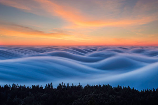 Фотограф Николас Стейнберг. Кто такие «туманоголики»