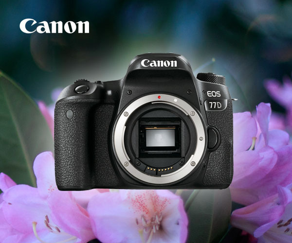 Зеркальная камера Canon EOS 77D