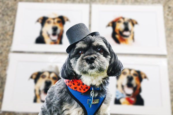 Как фотограф делал портреты собак на фестивале домашних животных