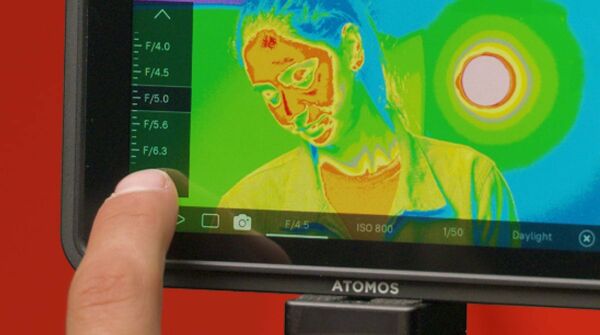 Image rectangle 600 x