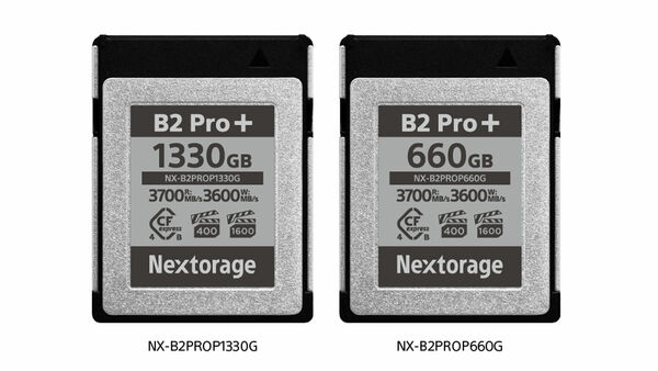 Image rectangle 600 x