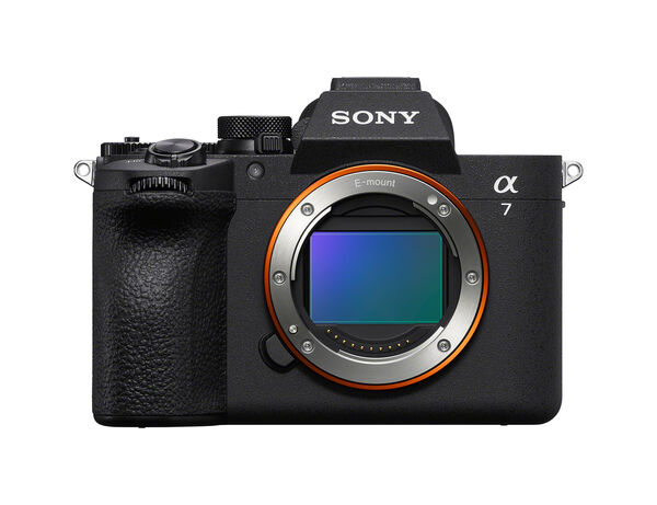 Image rectangle 600 x