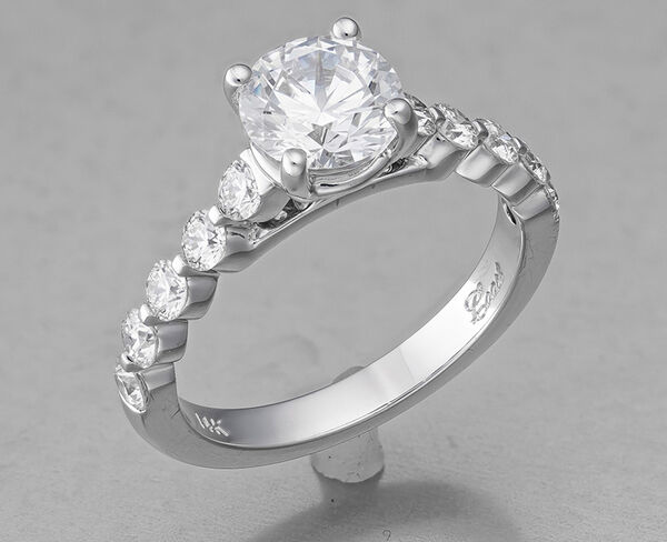 Image rectangle 600 x