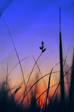 Bd724b70 4745 4f23 aeb9 03ddb12bab3e rectangle 250 x