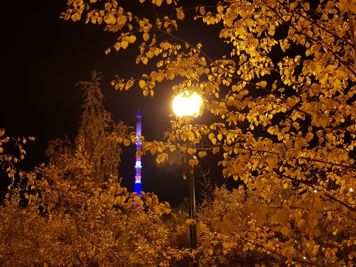 Варвара  Трунина, «Осенний ночной Якутск »