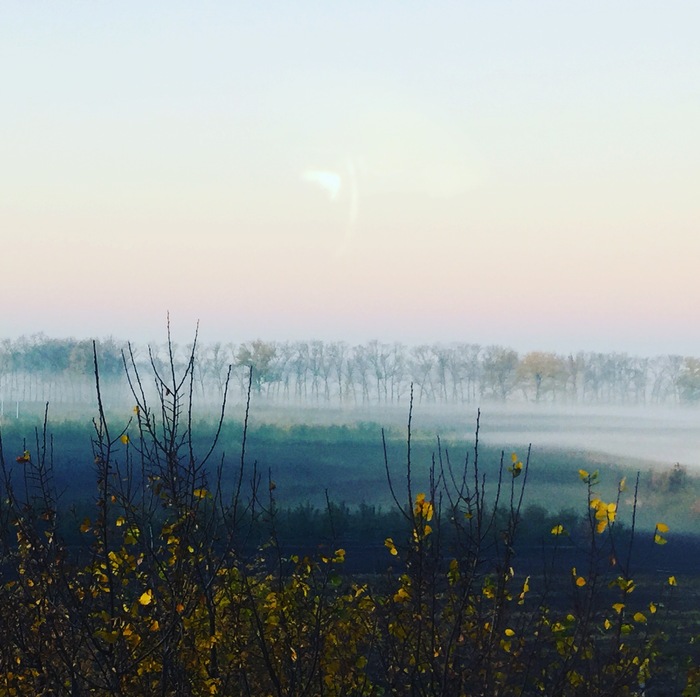 Евгения  Сергеева, «Утро»