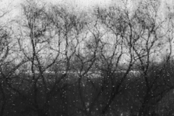7062a7fb 09f1 4ec8 b253 5adb35037cf6 rectangle 250 x