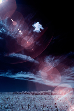 76a92993 aece 47ac 9f30 cf6437c07899 rectangle 250 x