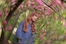 9d83a6f5 70fb 4bef a7b3 01c85147e929 rectangle 250 x