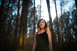 675d9509 5f78 42fa 9e21 a7981b4b9eb1 rectangle 250 x