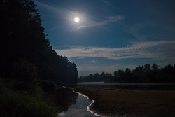 53021a2a b85d 4ea4 b9a3 e670fb66b5eb rectangle 250 x