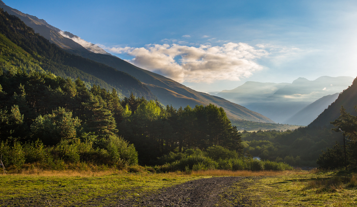 D5eb0156 7a97 4307 bab1 bbf14963ba82 rectangle 700 x