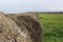 04ad868a 5b73 4bb9 bdd4 2161117ffc6a rectangle 250 x