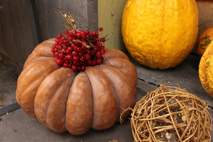 Ec9568ea fe5c 46b7 8797 8a1572b4cda3 rectangle 700 x