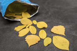 D570af01 e471 4bd8 a0c4 809e7180c0b9 rectangle 250 x