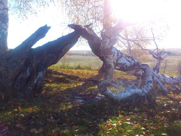 wsedwa, «Костер»