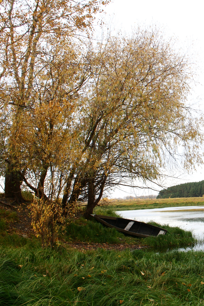 Lesobaza, «Лодка на берегу»