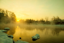 195320b6 a81c 4298 80dd 063df4685d0f rectangle 250 x